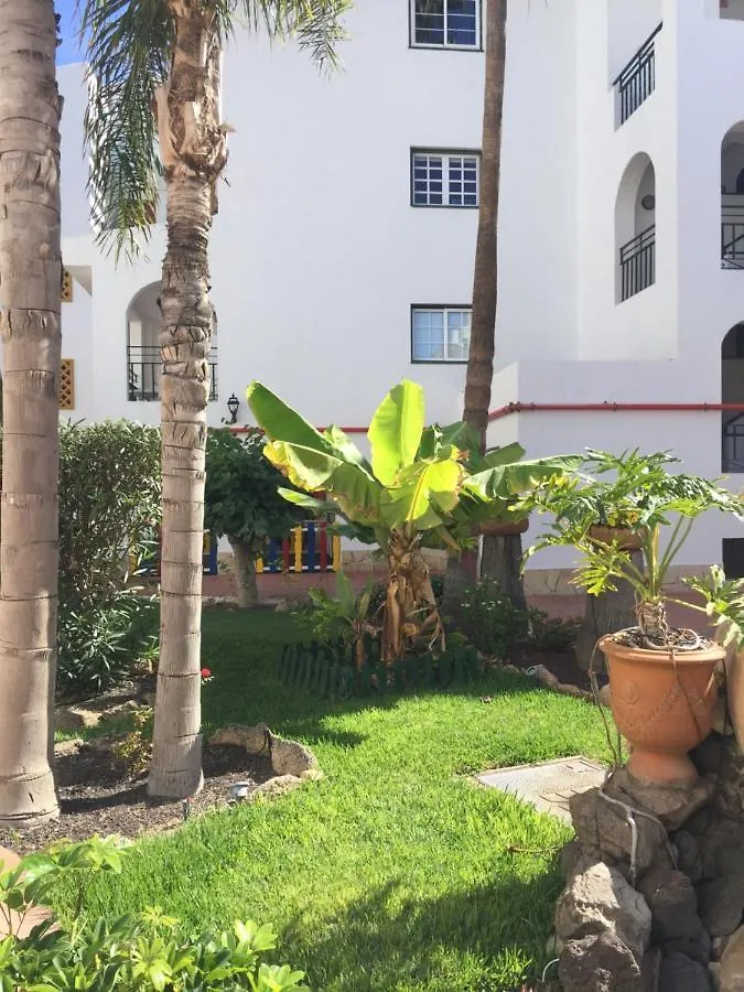 Beachfront Private Apartment In Pueblo Torviscas Sunset Harbour Costa Adeje  Costa Adeje (Tenerife)